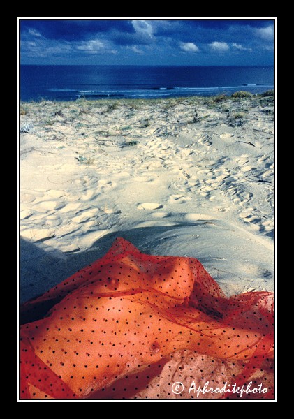 03 Le voile des sables